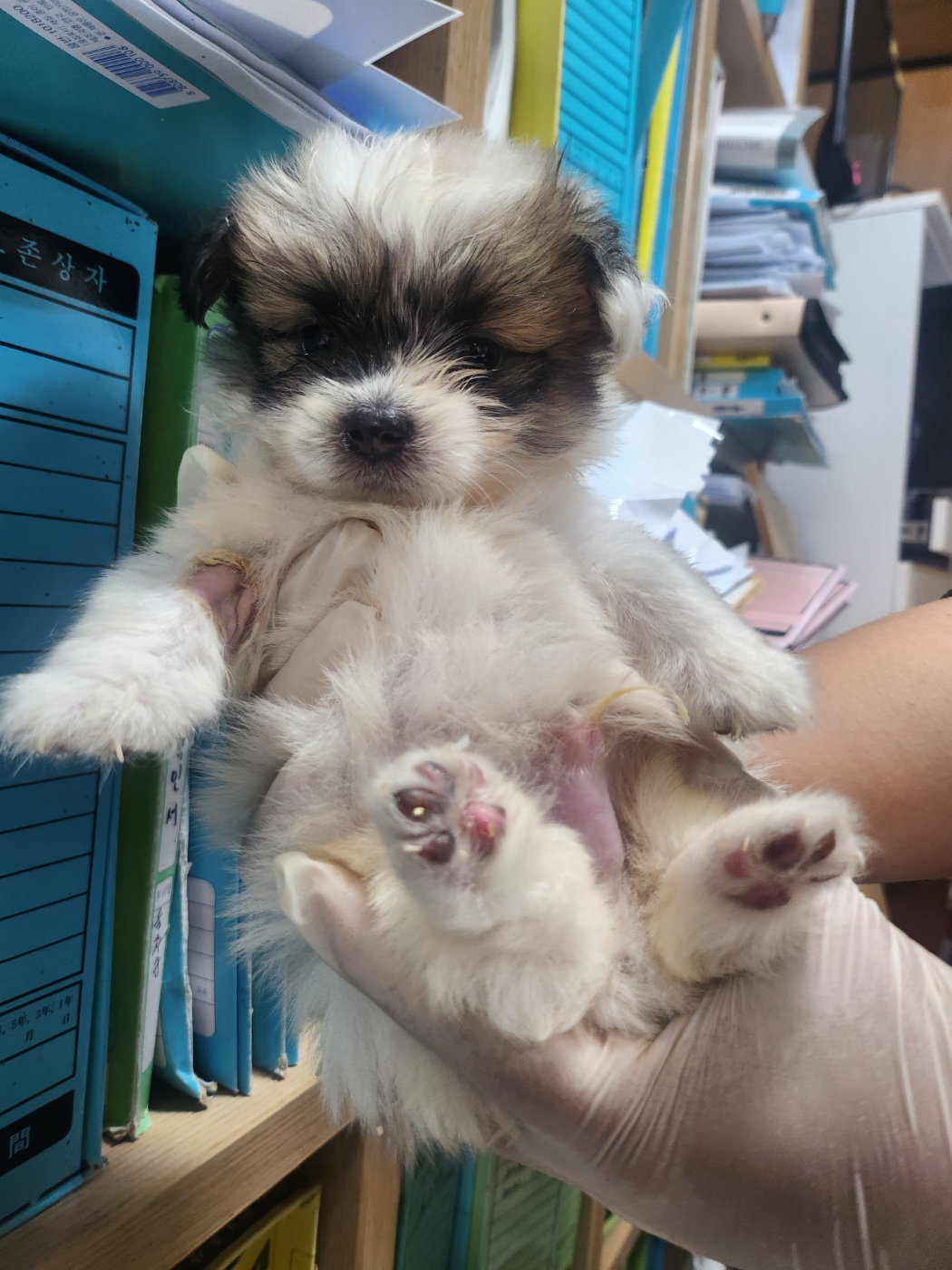 울산유기동물보호센터_431373202401131